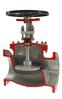 Pacific CSV - Cast Steel Globe Valve